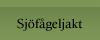 Klicka för att komma till sjöfågeljakt